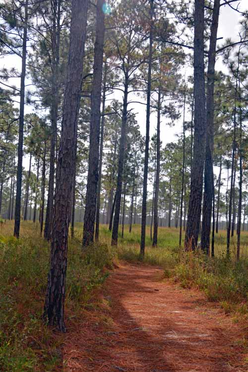 hiking trail